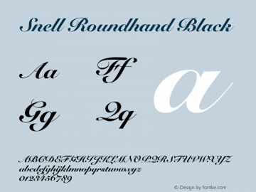 Snell Roundhand Black Version 10.0d5e5 Font Sample