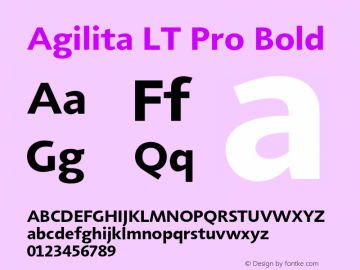 AgilitaLTPro-Bold Version 1.000;PS 001.000;hotconv 1.0.38 Font Sample