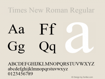 Times New Roman Version 5.21图片样张