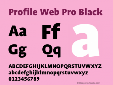 Profile Web Pro Black Version 7.504图片样张