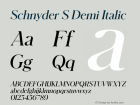 SchnyderS-DemiItalic Version 1.1 2018 | wf-rip DC20180130图片样张