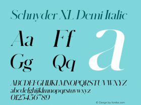 SchnyderXL-DemiItalic Version 1.1 2018 | wf-rip DC20180130图片样张