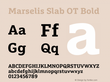 MarselisSlabOT-Bold Version 7.504; 2013; Build 1021 Font Sample