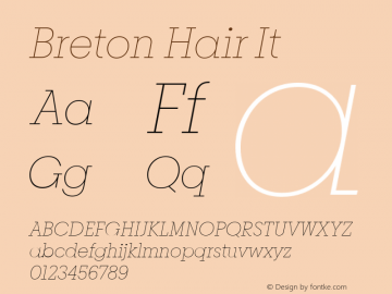 Breton Hair It Version 1.001;PS 001.001;hotconv 1.0.88;makeotf.lib2.5.64775图片样张