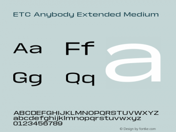 ETCAnybody-ExtendedMedium Version 1.51 | wf-rip DC20181025图片样张