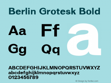 BerlinGrotesk-Bold Version 0.1.0 | wf-rip DC20180920 Font Sample