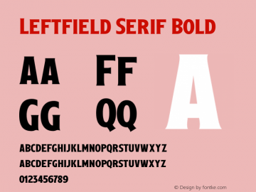 LeftfieldSerif-Bold Version 1.000图片样张