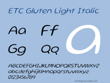 ETCGluten-LightIt Version 2.100 | wf-rip DC20190110图片样张
