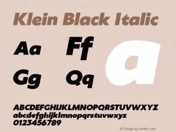 Klein-BlackItalic Version 1.102;hotconv 1.0.109;makeotfexe 2.5.65596图片样张