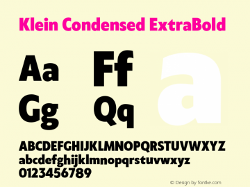 KleinCondensed-ExtraBold Version 1.102;hotconv 1.0.109;makeotfexe 2.5.65596图片样张