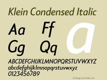 KleinCondensed-Italic Version 1.102;hotconv 1.0.109;makeotfexe 2.5.65596图片样张