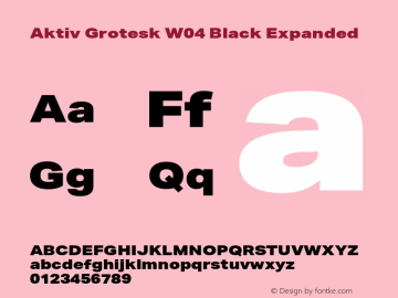 AktivGroteskExW04-Black Version 1.10 Font Sample