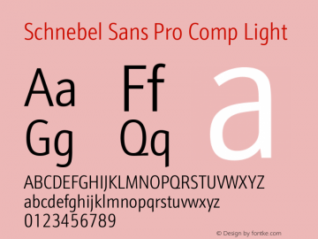 Schnebel Sans Pro Comp Light Version 1.00 Font Sample