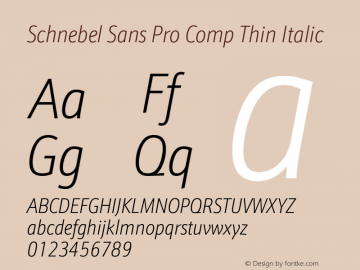 Schnebel Sans Pro Comp Thin Italic Version 1.00 Font Sample
