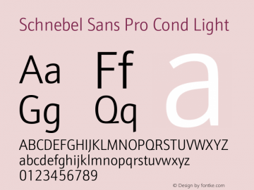 Schnebel Sans Pro Cond Light Version 1.00图片样张