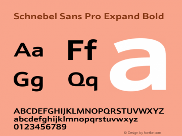 Schnebel Sans Pro Expand Bold Version 1.00 Font Sample