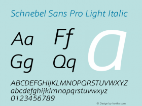 Schnebel Sans Pro Light Italic Version 1.00 Font Sample