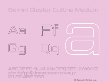 Gemini Cluster Outline Medium Version 1.000图片样张