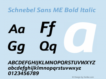 Schnebel Sans ME Bold Italic Version 1.00图片样张