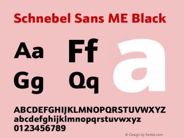 Schnebel Sans ME Black Version 1.00图片样张