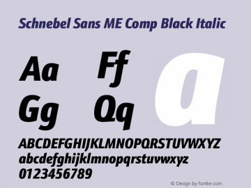 Schnebel Sans ME Comp Black Italic Version 1.00图片样张