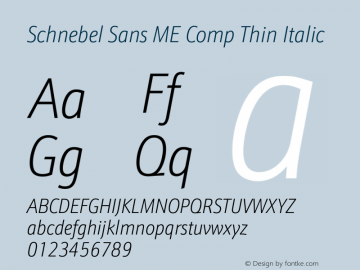 Schnebel Sans ME Comp Thin Italic Version 1.00图片样张