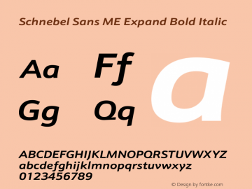 Schnebel Sans ME Expand Bold Italic Version 1.00图片样张