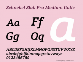 SchnebelSlabPro-MediumItalic Version 1.00图片样张