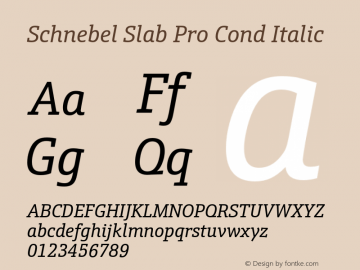 SchnebelSlabProCond-Italic Version 1.00图片样张