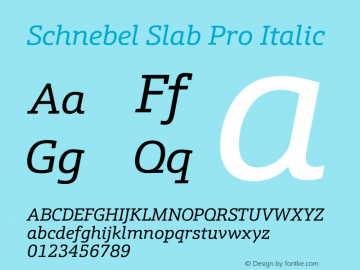 Schnebel Slab Pro Italic Version 1.00 Font Sample