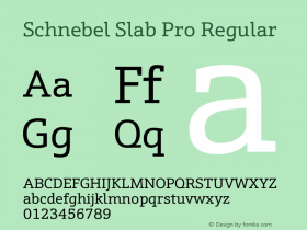 Schnebel Slab Pro Regular Version 1.00图片样张