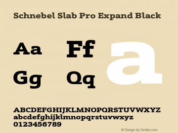 Schnebel Slab Pro Expand Black Version 1.00图片样张