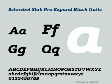 Schnebel Slab Pro Expand Blk It Version 1.00 Font Sample