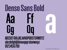 Denso Sans Bold Version 1.000;PS 001.000;hotconv 1.0.88;makeotf.lib2.5.64775 Font Sample