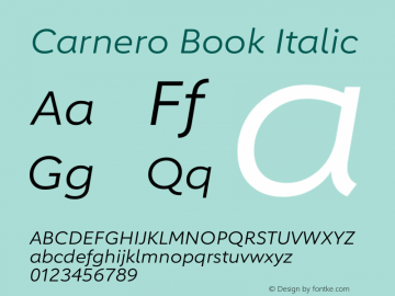 Carnero Book Italic Version 1.10图片样张