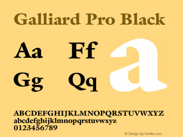 GalliardPro-Black Version 2.02图片样张