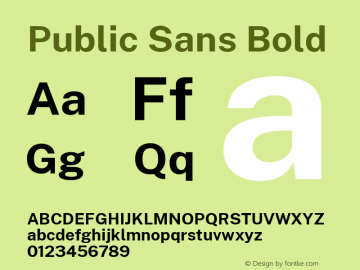 Public Sans Bold Version 1.000 Font Sample