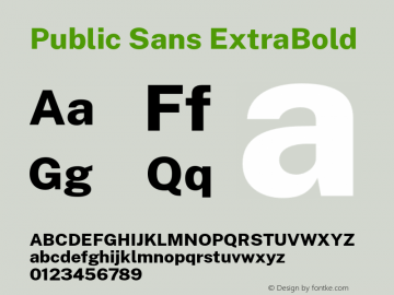 Public Sans ExtraBold Version 1.000;PS 001.000;hotconv 1.0.88;makeotf.lib2.5.64775 Font Sample