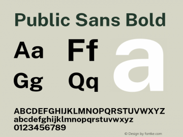 Public Sans Bold Version 1.000;PS 001.000;hotconv 1.0.88;makeotf.lib2.5.64775 Font Sample