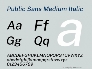 Public Sans Medium Italic Version 1.000;PS 001.000;hotconv 1.0.88;makeotf.lib2.5.64775 Font Sample