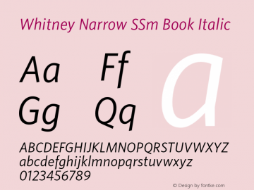Whitney Narr SSm Book Italic Version 2.202图片样张