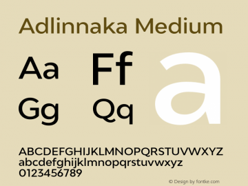 Adlinnaka Medium Version 1.000;PS 001.000;hotconv 1.0.88;makeotf.lib2.5.64775 Font Sample