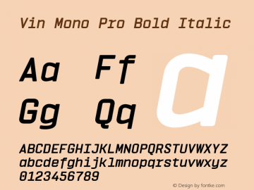 Vin Mono Pro Bold Italic Version 1.000 Font Sample