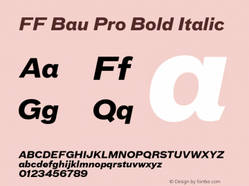 FFBauPro-BoldItalic Version 7.504; 2010; Build 1004 Font Sample
