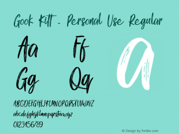Gook Kitt - Personal Use Version 1.000图片样张