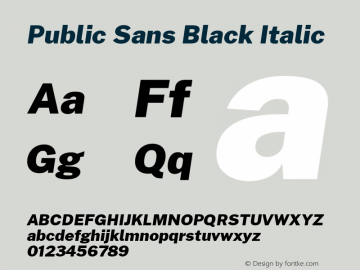 Public Sans Black Italic Version 1.000 Font Sample