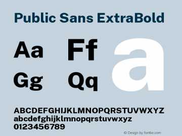 Public Sans ExtraBold Version 1.000图片样张