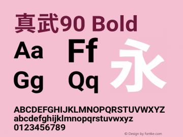 真武90 Bold  Font Sample