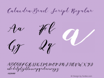 CatandraBrushScript Version 1.000图片样张