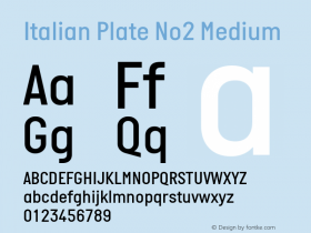 Italian Plate No2 Medium Version 2.101图片样张